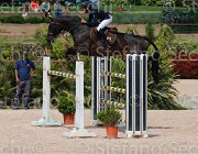 CURCIO CARRY MONEY CampITA2013- S5 0357 : CARRY MONEY, CURCIO SERENA, Campionati Italiani 2013, Cattolica, Horse Riviera Resort, foto di Stefano Secchi ©